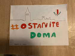 Leni Olić, 6.c