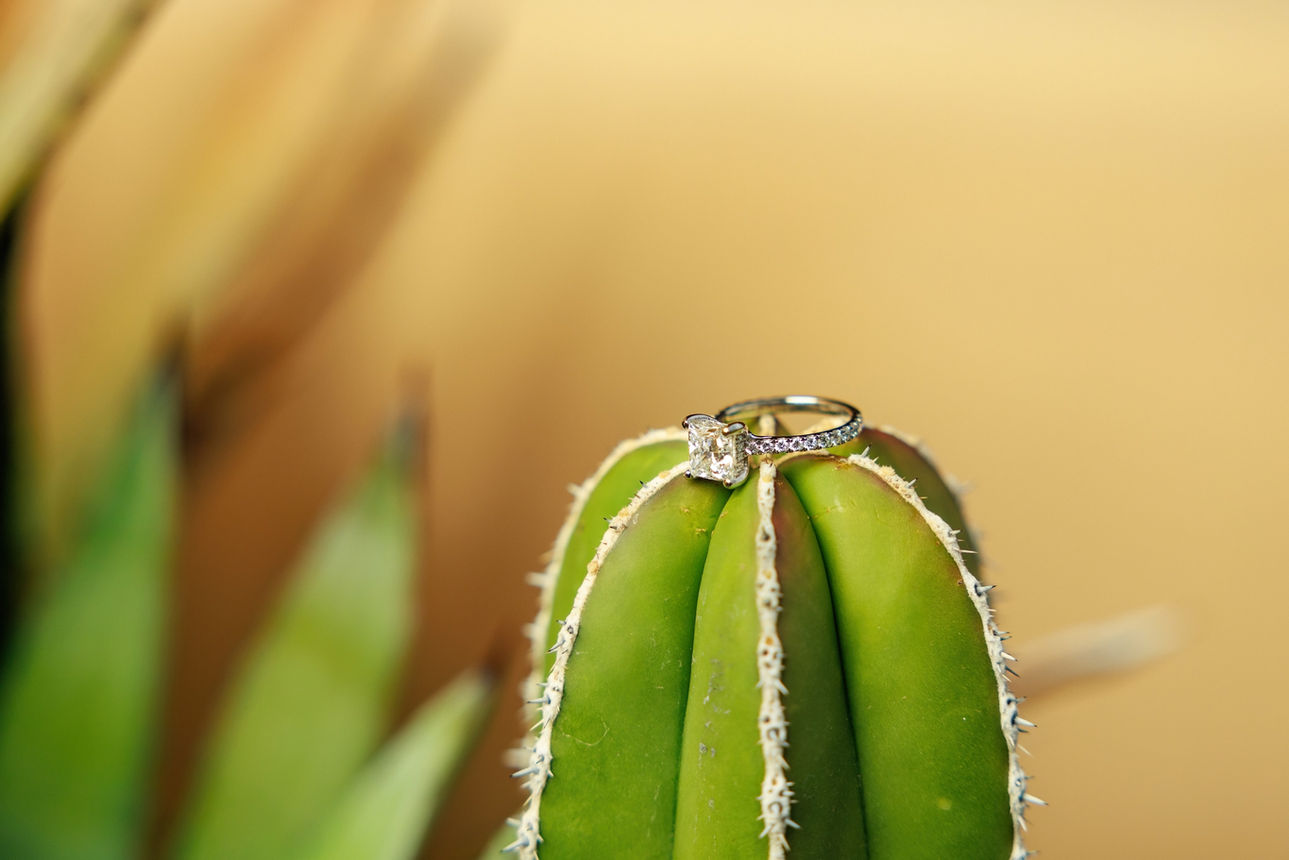 Ring on a cactus