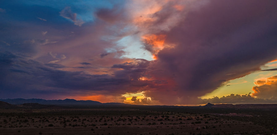 Desert Owl Photography - desertowlphoto.com-9.jpg