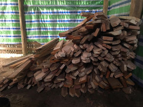 Start of Phase 2: Treat all the wood