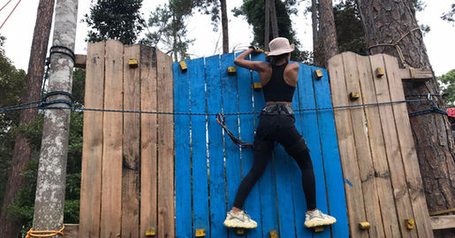 Wall climbing