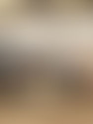 North Carolina Police and Community Unite to Spread Warmth through “Greg’s Groceries” Food Drive