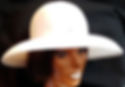#17 2pc FOSSHAPE(R) crown & brim