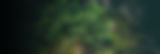 Ecology.jpg
