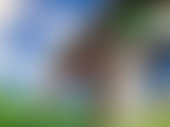 Jak má správně vypadat montáž oken? Reálné chyby z praxe, špatné postupy i rady, na co si dát pozor před výběrem firmy.