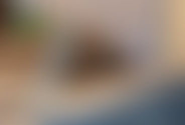 Kotel na biomasu se samočinnou dodávkou paliva