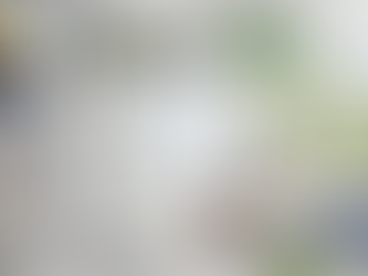 Co je REHAU a profil Synego? Jak fungují okna a dveře z těchto systémů, zkušenosti z praxe a na co si dát pozor při výběru.