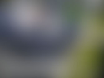 LONGi Solar patří mezi světové výrobce panelů. Jaké technologie používá, co říkají montážní firmy a na co si dát pozor při výběru.