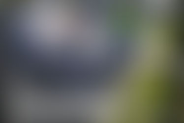 LONGi Solar patří mezi světové výrobce panelů. Jaké technologie používá, co říkají montážní firmy a na co si dát pozor při výběru.