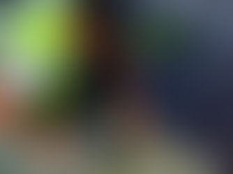 Jak firmy přistupují ke kvalitě montáže fotovoltaiky