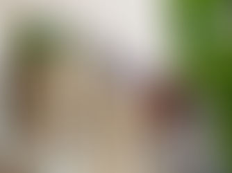 Víte, co v létě kontrolovat na domě? Praktické tipy pro údržbu v horku a odkaz na výběr spolehlivých firem z celého Česka.