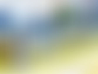 Na co si dát pozor při výměně oken a dveří. Jak předejít chybám a co rozhoduje o kvalitě montáže i životnosti výplní otvorů.