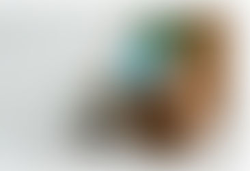 Jak poznat kvalitní plastový profil okna? Komory, výztuhy, těsnění vysvětlené z praxe. Rady z rozhovorů s firmami.