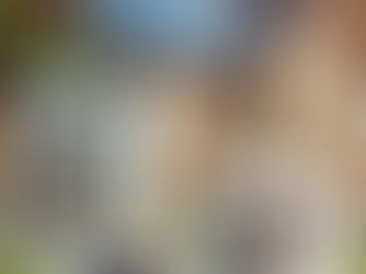 Bivalentní zdroj tepleného čerpadla