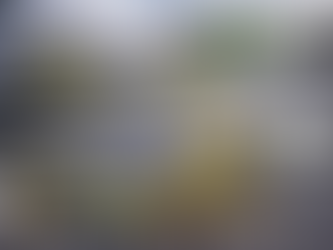 Jak správně řešit uzemnění fotovoltaiky na plechové střeše? Praktické vysvětlení podle zkušeností montážních firem.