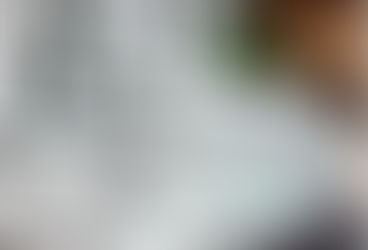 Aluplast Ideal 8000, Gealan a Veka: velké srovnání profilů, rozdíly v praxi, na co si dát pozor a jak vybrat správně.