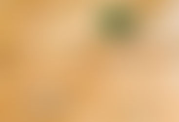 Tloušťka izolace stropu: Jak zvolit správnou?