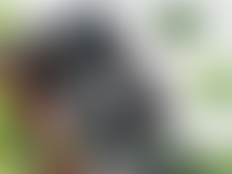 Schüco hliníkové profily: zkušenosti z praxe, výhody, nevýhody a realita montáží. Zjistěte, co firmy opravdu řeší u oken a dveří.