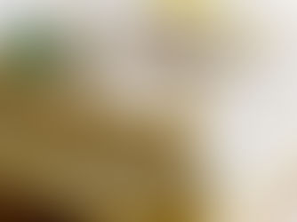 Minerální vata: Izolační řešení pro váš dům