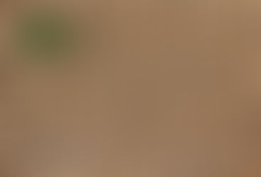 Kolik se spálí pelet za zimu