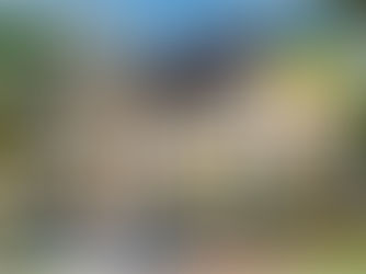 Dotace nová zelená úsporám Light 