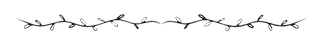 ribte.png