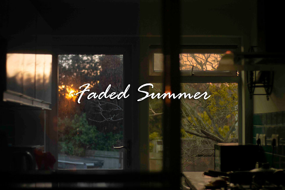 Thumbnail: Photoshop Signature LUTs