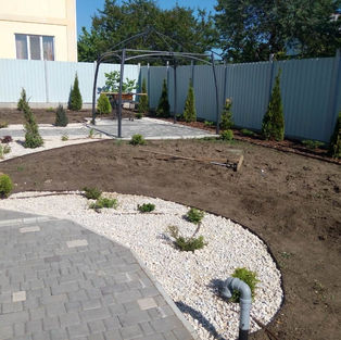 Сделаем высадку растений по проекту озеленения