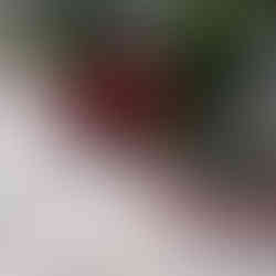 Подготовка системы автополива к зиме в Одессе