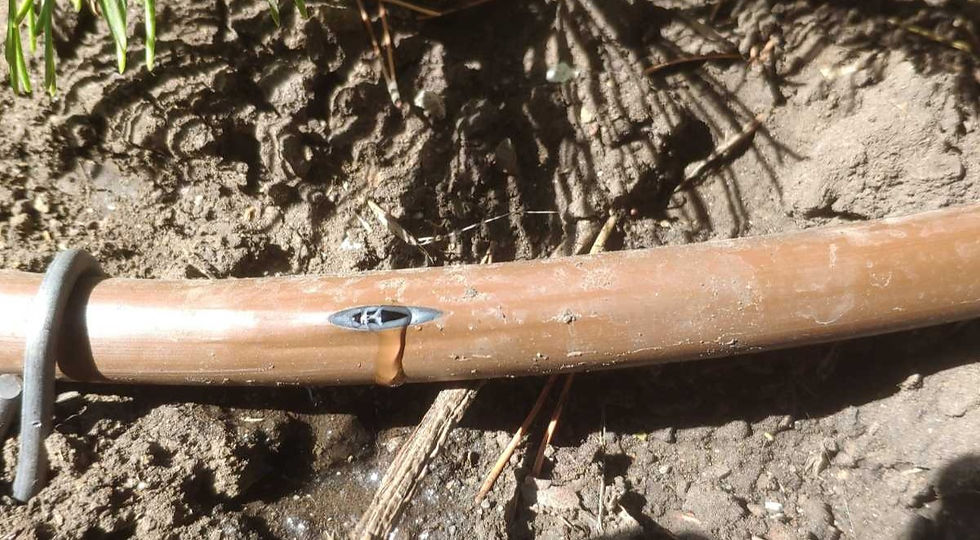 drip irrigation system in Nessebar