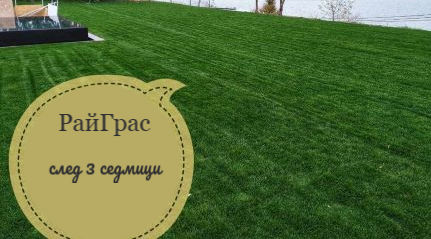 Рулонната тревна площ пусна корени в Несебър