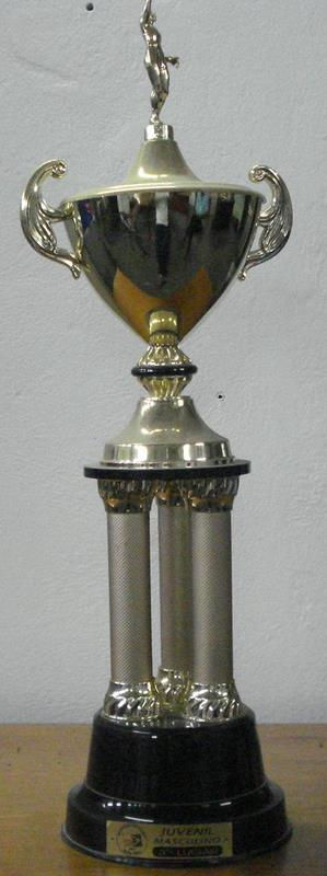 A_2003_Bronze_APV_Juvenil