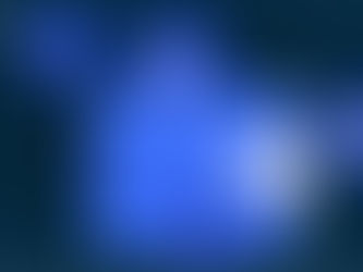 What Are The Top 5 Crypto Wallets Of 2024?