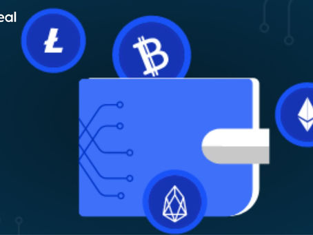 What Are The Top 5 Crypto Wallets Of 2024?