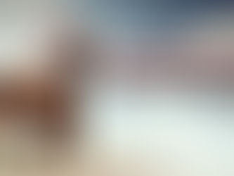 Why Creating An NFT Horse Racing Game Is A Better Choice?