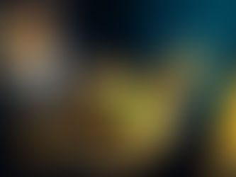 Meme Coins vs. Traditional Cryptocurrencies: A Comparative Analysis of Development Approaches