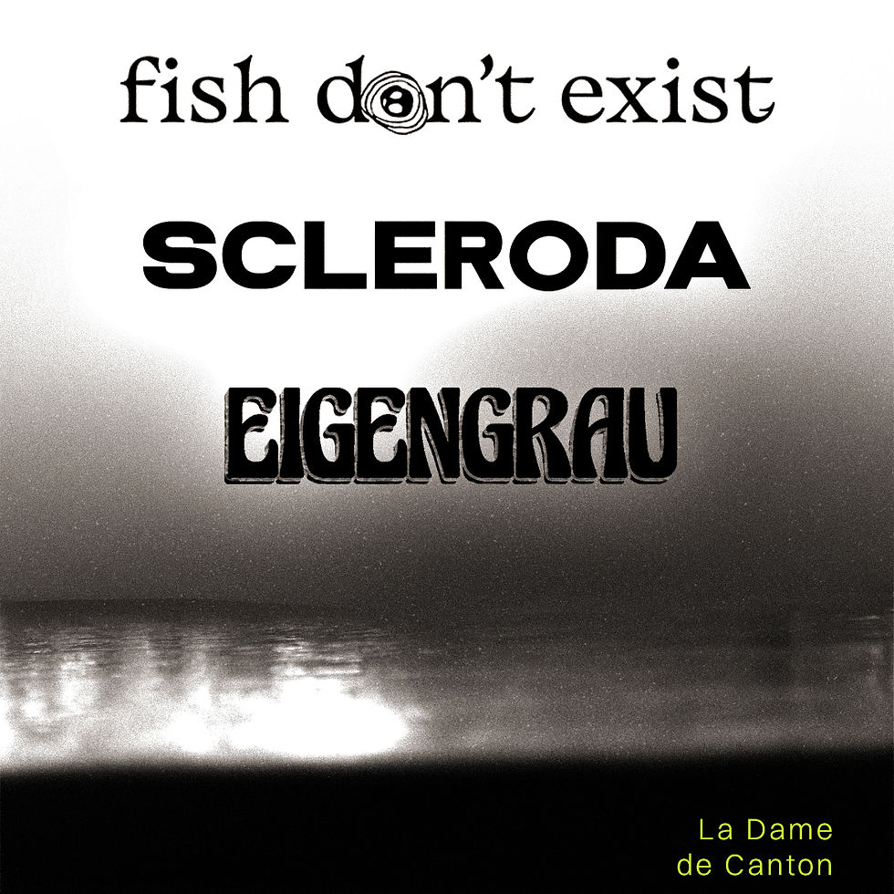 FISH DON'T EXIST x SCLERODA x EIGENGRAU