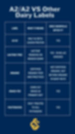 Chart comparing A2/A2 and other dairy labels with meanings and Snowville availability on a blue background, yellow logo at bottom.