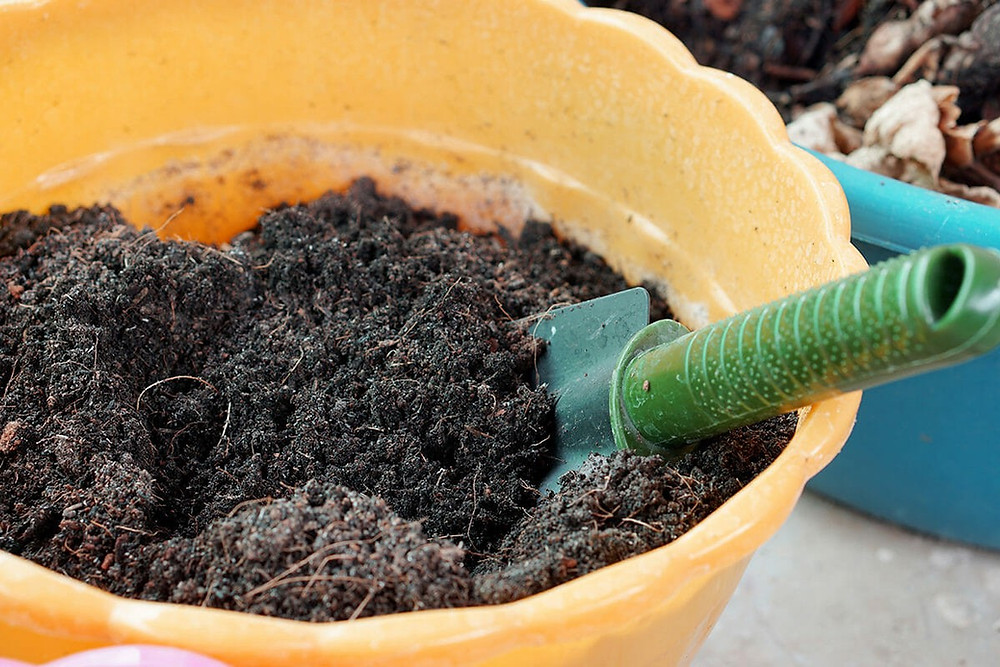 Pot planters potting mix veggie mix