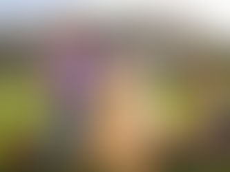 Architectural Projects for Kids