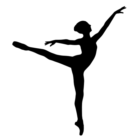 0002851_ballerina-4-ballet-decor-wall-si