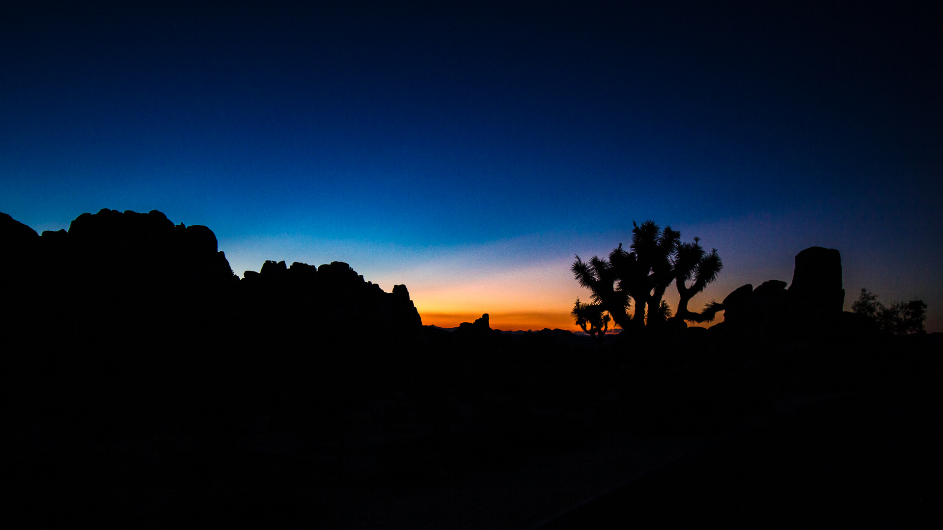 Contemplation-4.jpg