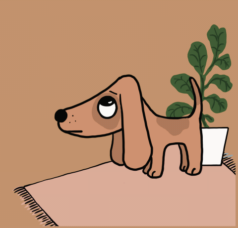 Dog taking a pee gif