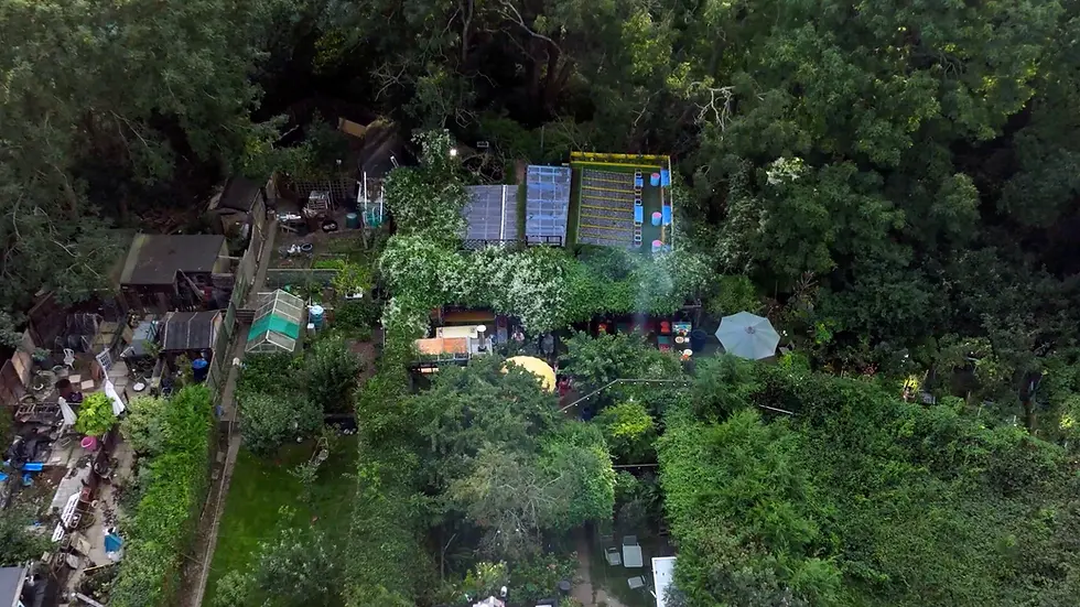 Still from 'A Garden in Hastings'