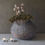 Thumbnail: AUTHENTIEKE INDIASE RIETEN LEEMMAND
