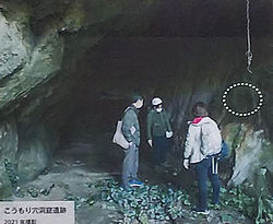 歴博展示室_こうもり穴洞窟.jpg