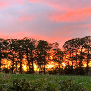 Vakantievilla Enter tuin zonsondergang
