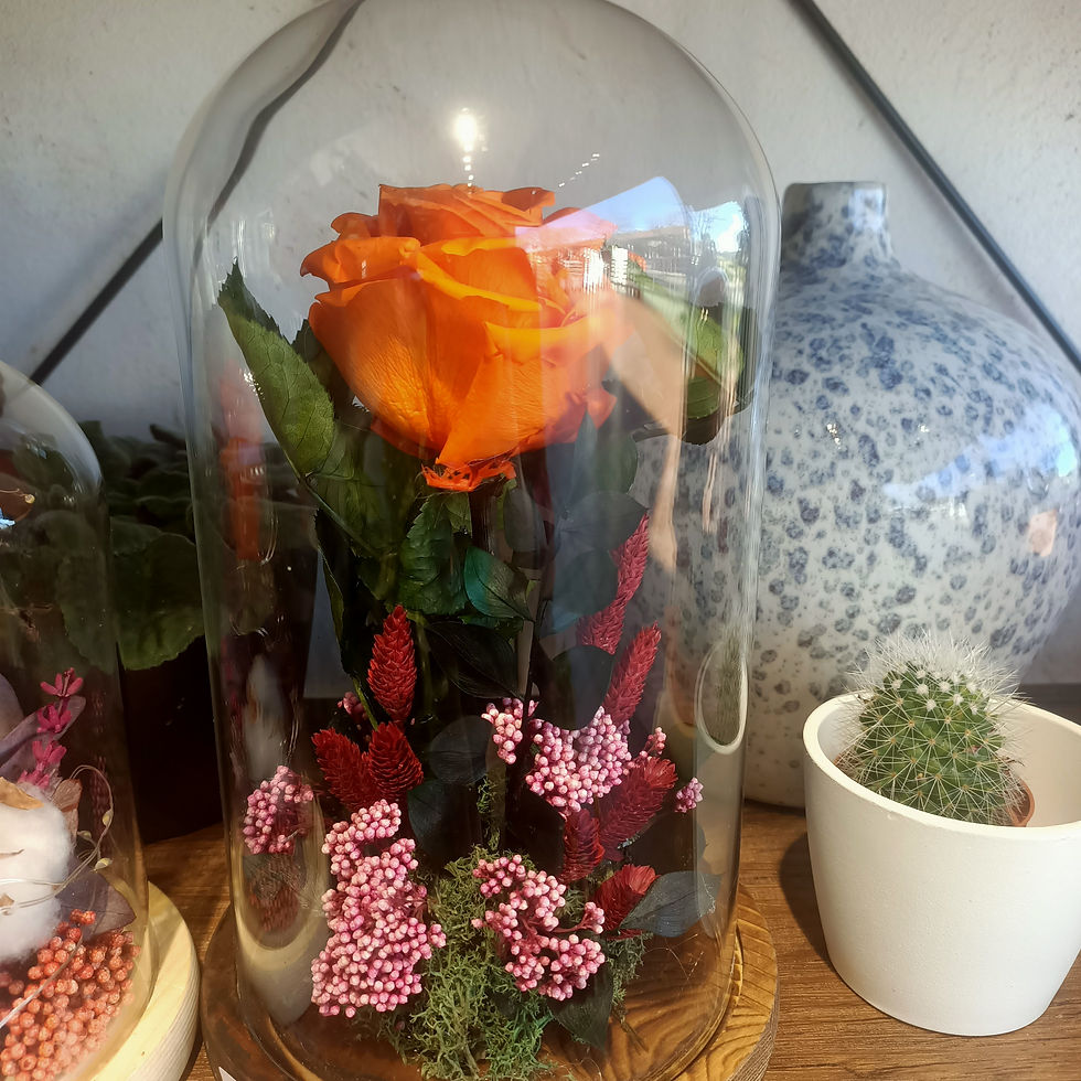 Miniatura: Cúpulas de rosas