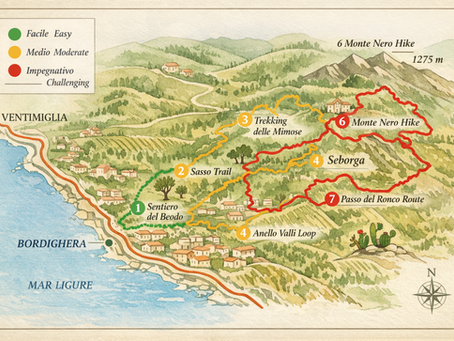 🌿 Trekking a Bordighera: il piacere di scoprirla passo dopo passo