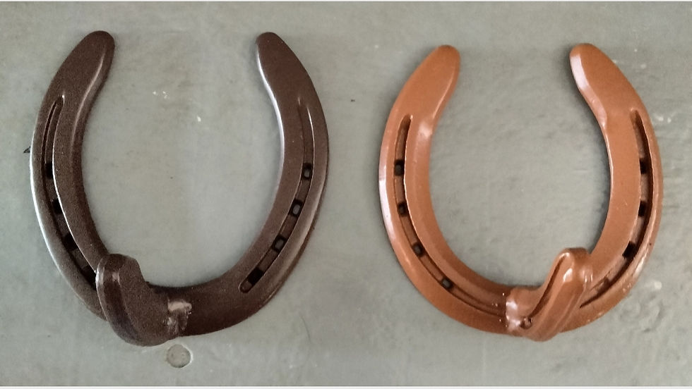 Two horseshoes, brown and bronze, on gray background